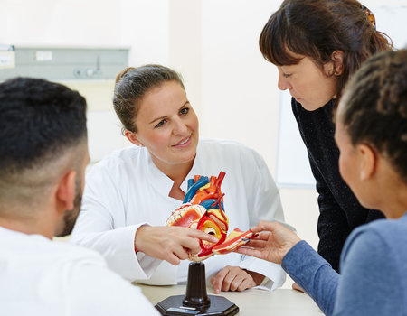 Passend zum Ausschreibungstext zeigt das Foto eine Schulungssituation. Eine Ärztin im klassischen weißen Arztkittel erklärt zwei angehenden Ärztinnen und einem angehenden Arzt an einem Modell das menschliche Herz.